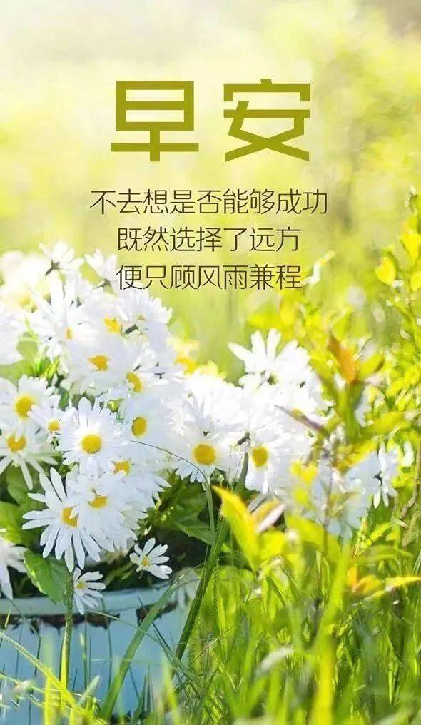 清晨心语，唤醒心灵，拥抱美好一天